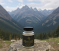 Black Gold Shilajit Gummies – Natural Mineral Boost Ancient energy, modern gummy.